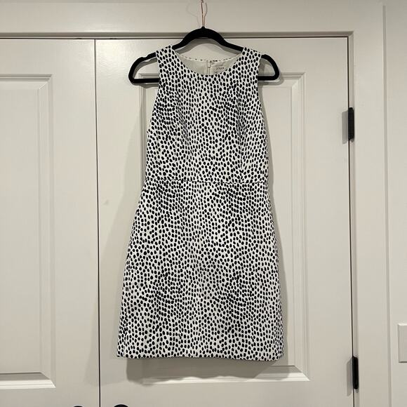 J Crew Women's‎ Structured Sheath Dress Blue and White Polka Dots Size 6 - Picture 1 of 6